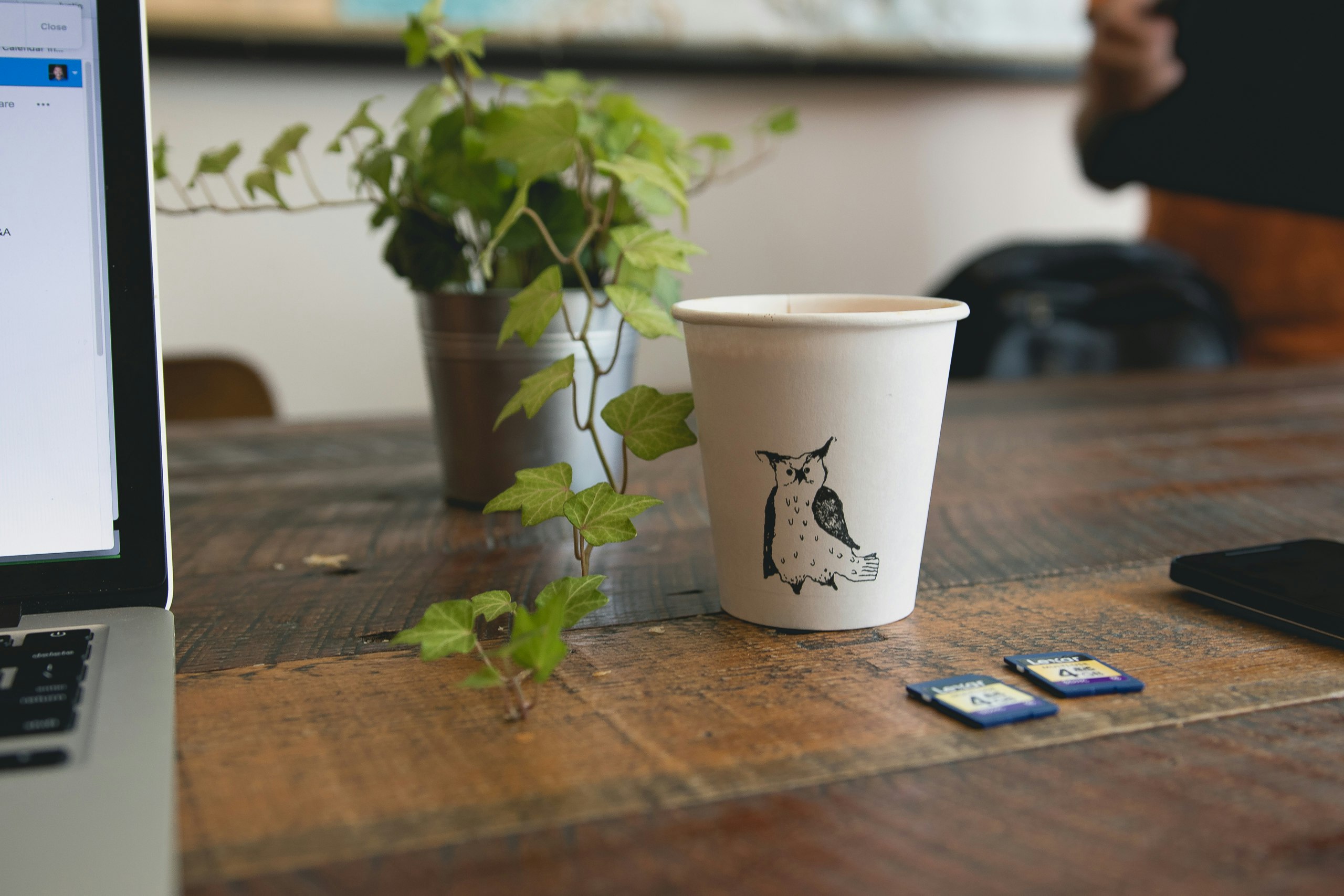 white paper cup beside green plant